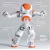 最新一代NAO Next Gen双足开云入口网页版