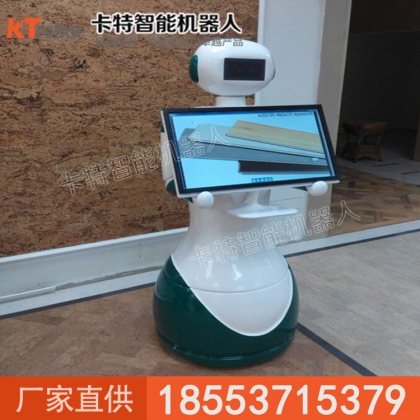 迎宾机器人价格