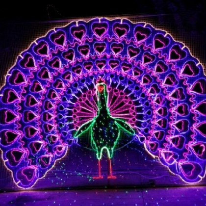 专业提供灯光节出租租赁全国资源