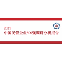 2021中国民营企业500强花落谁家？