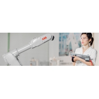 IRB 1300