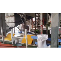 国产和进口机械手双线双抓手码垛 T