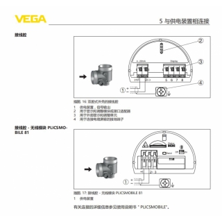 VEGAFLEX 81接线图
