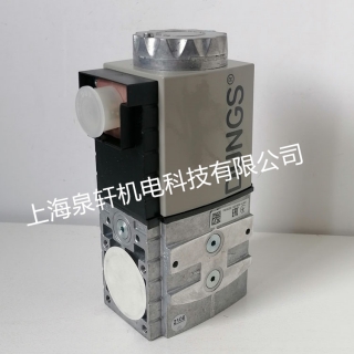 点火阀SV-D507德国冬斯燃气电磁阀