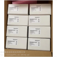 美国通用（GE)PLC IC200PWR102电源模块