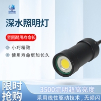 水下专用照明灯 深水补光灯防水深度200m高亮度工业级