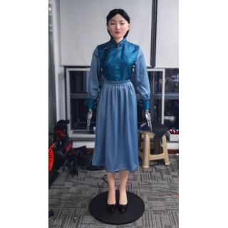 仿真开云入口网页版